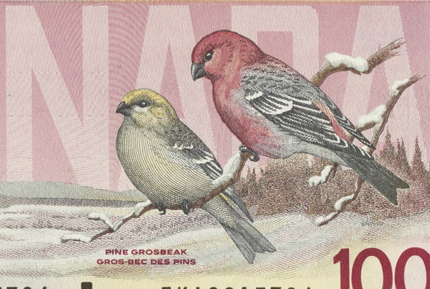 Canadian $1,000 Bill (Thiessen-Crow)