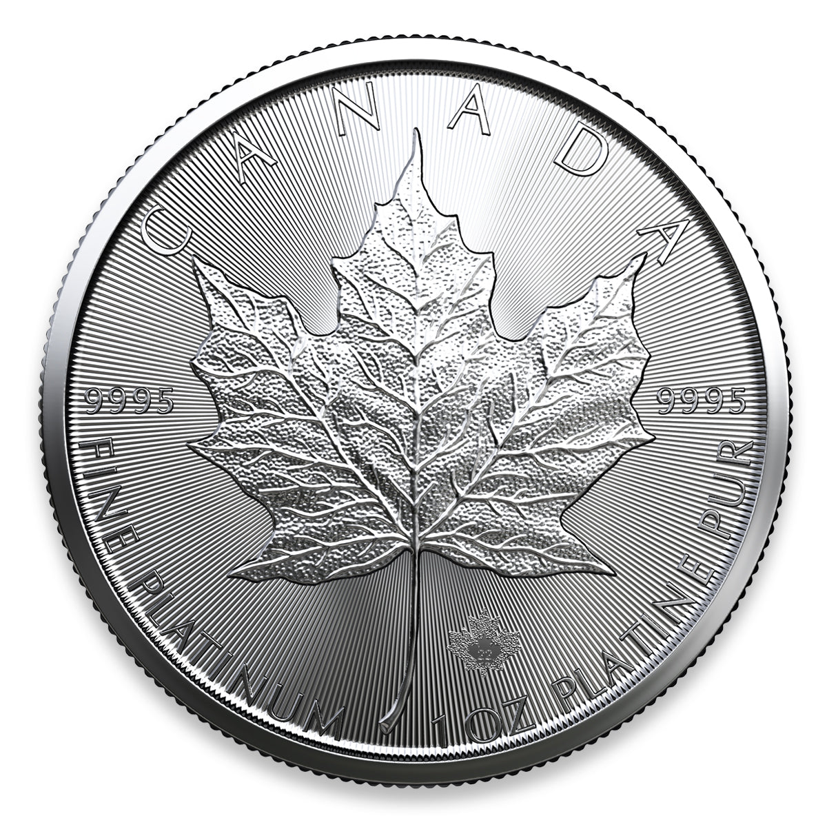 1 oz Canadian Platinum Maple Leaf Coin