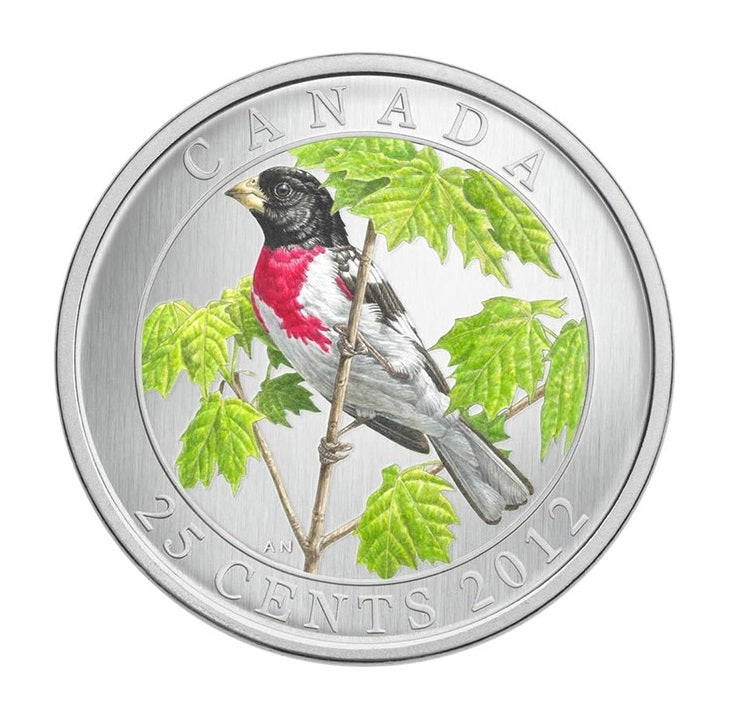 Birds of Canada: Rose-breasted Grosbeak Quarter