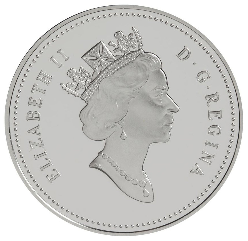 Year of Older Persons silver coin obverse