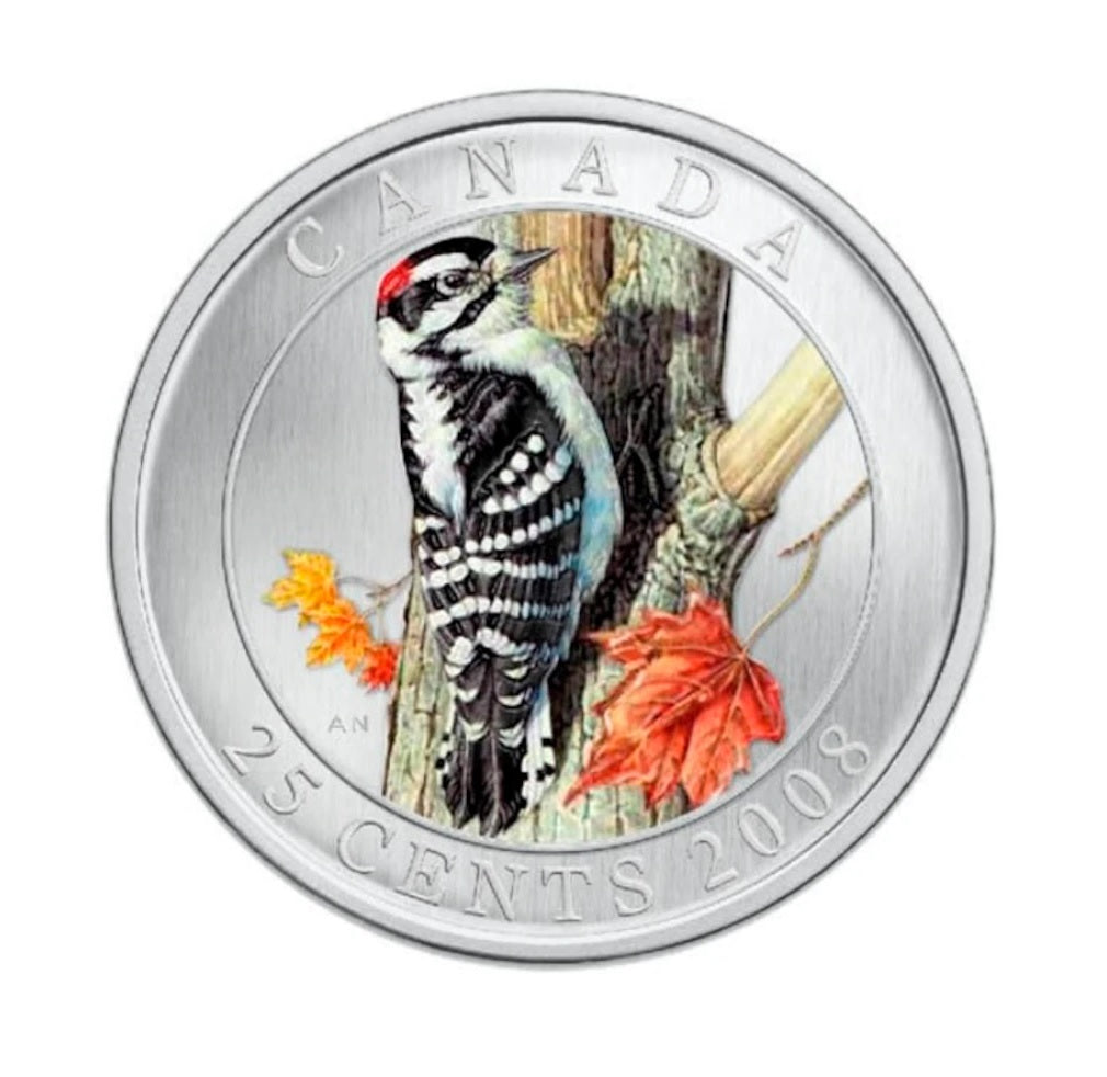 Birds of Canada: Downy Woodpacker Quarter