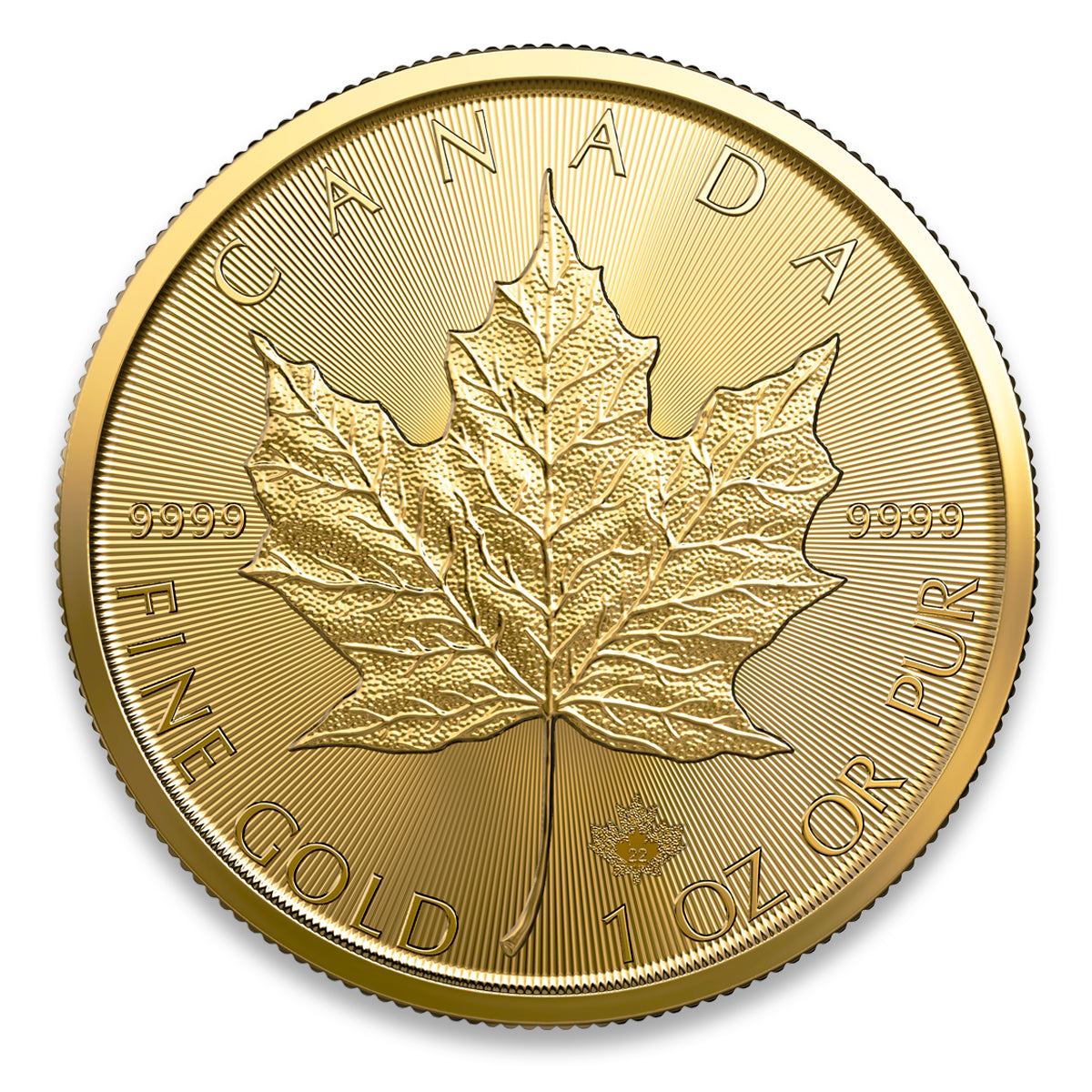 1 oz Maple Leaf Gold Coin