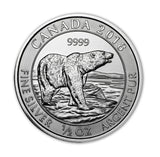 1/2 oz Canadian Polar Bear Silver Coin