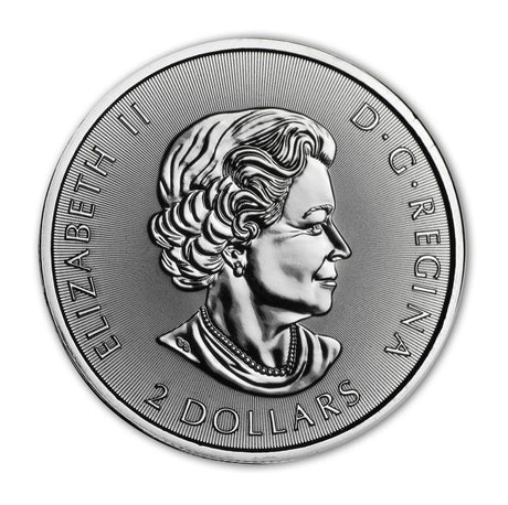 1/2 oz Canadian Polar Bear Silver Coin