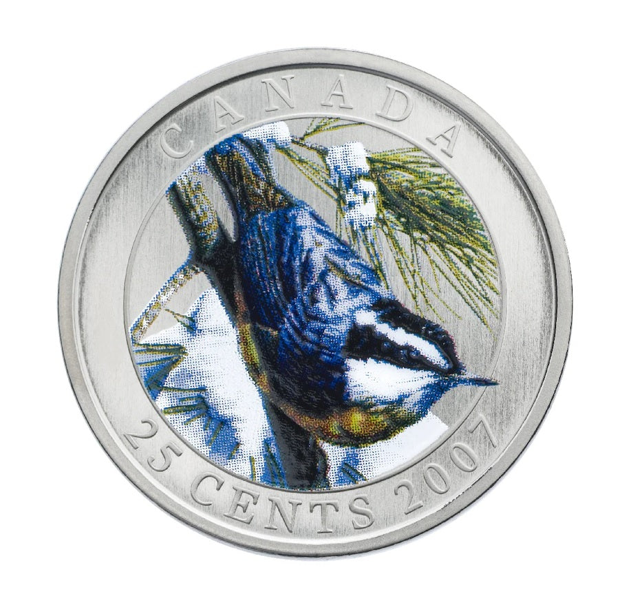 Birds of Canada: Red-Breasted Nuthatch Quarter