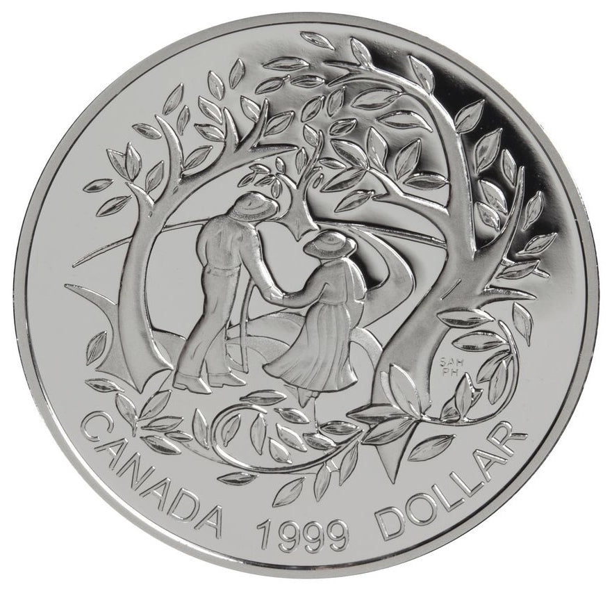 Year of older persons Silver Coin Reverse
